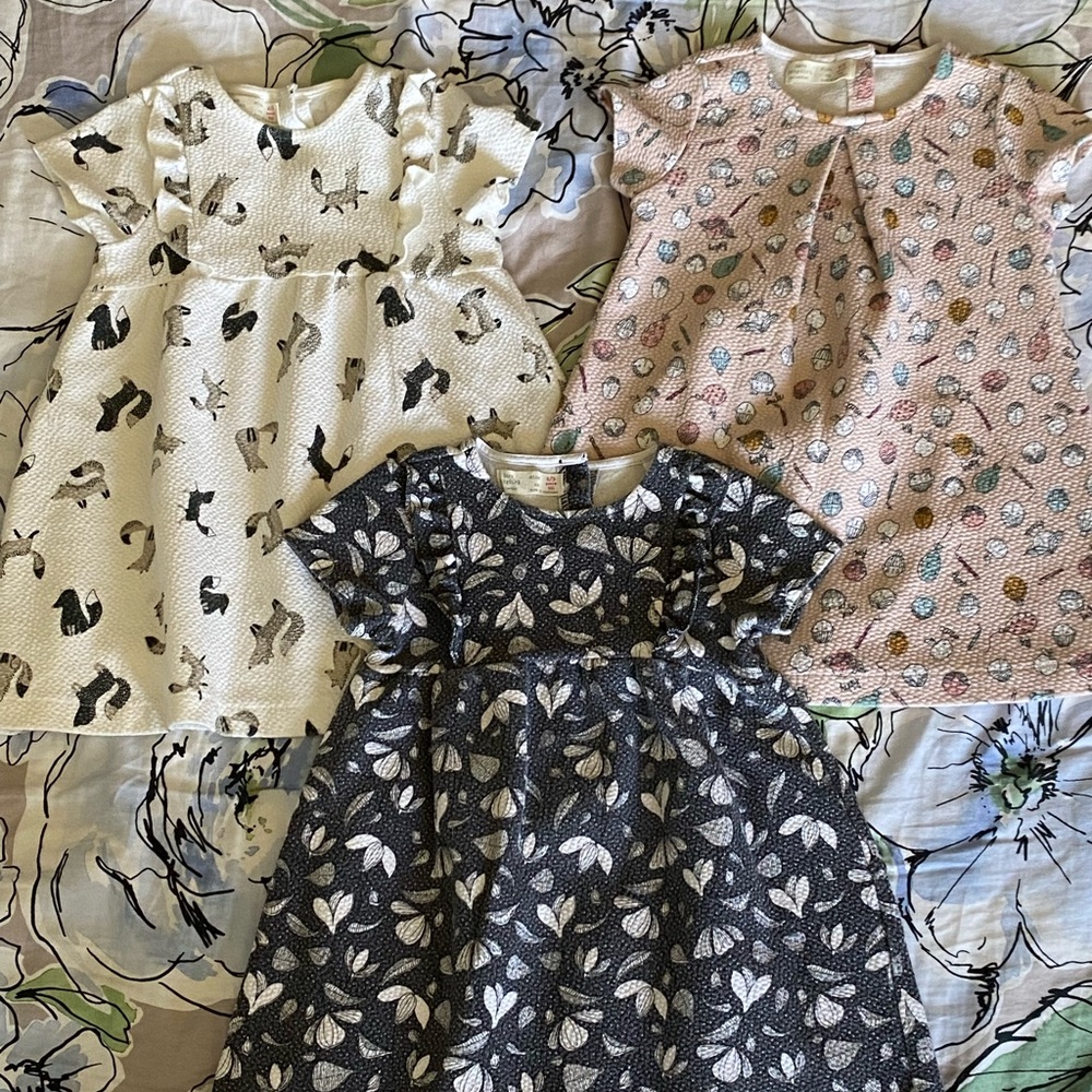 Zara baby girl 2-3 years dress Fall Autumn style